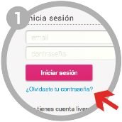 Paso 1 - Recuperar Contraseña