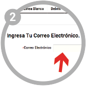Paso 2 - Recuperar Contraseña